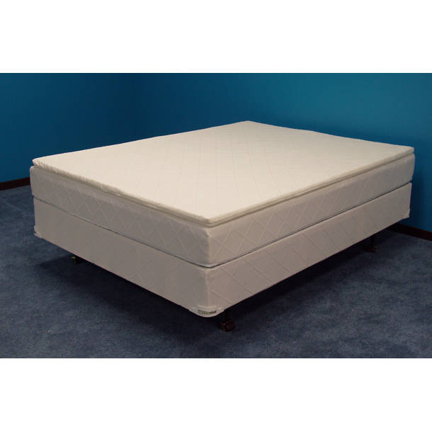 Strobel Technologies Winners American Pharoah No Cover Top Only 6" Semi